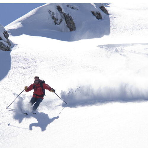 Swiss Alpes