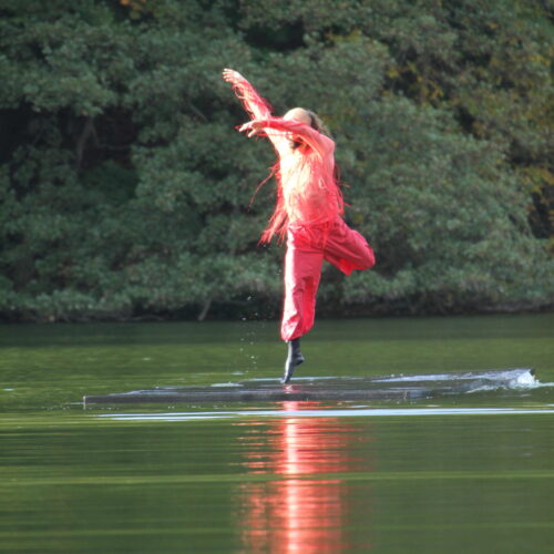 Water WaltzI