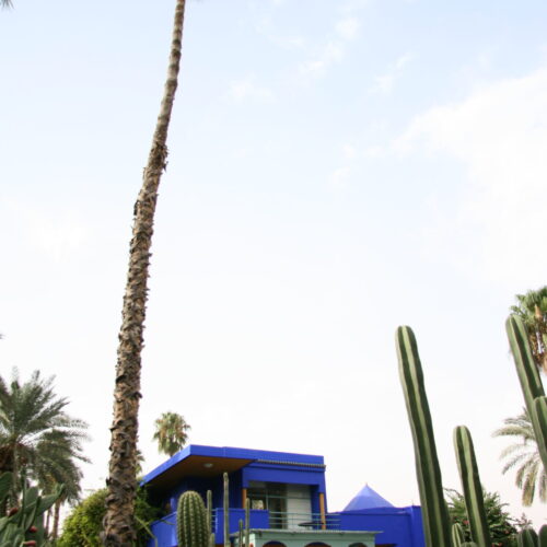 Jardin Majorelle, Marrakesch